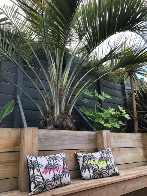 Housse de coussin palmier avec texte floqué en rose ou jaune fluo